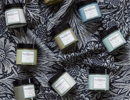 Morris & Co Paint Krijtverf Chalky Matt