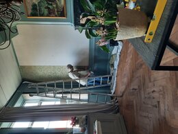 BEHANG ZELF AANBRENGEN?