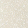 Thibaut Amato Beige T4014