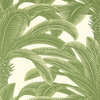 Thibaut Palm Grove Queen Palm Sage T13911