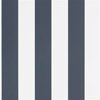 Ralph Lauren Signature Stripe Library Spalding Stripe Dark Blue PRL026/08