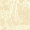 Cole &amp; Son Contemporary Selection Cow Parsley 66/7049