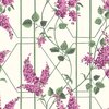 Cole &amp; Son Botanical ~Botanica~ Wisteria 115/5013