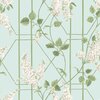 Cole &amp; Son Botanical ~Botanica~ Wisteria 115/5014