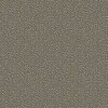Cole &amp; Son Curio Vermicelli 107/4017