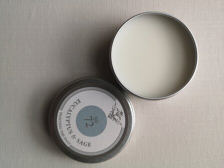 Painting the Past Meltin Eucalyptus & Sage