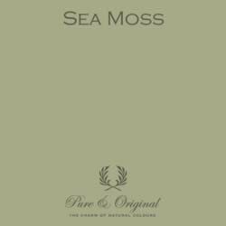 Pure &amp; Original Marrakech Walls Sea Moss