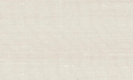 Arte Latus 50501A Neutral Mint