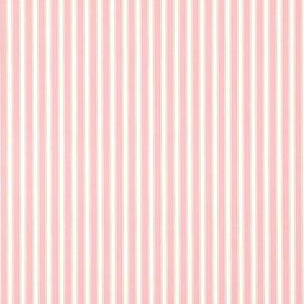 Sanderson New Tiger Stripe Rose Ivory DCAVTP101