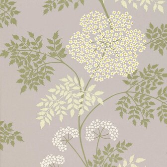 Sanderson Cowparsley Amethyst DOPWCO103