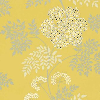 Sanderson Cowparsley Chinese Yellow DOPWCO105