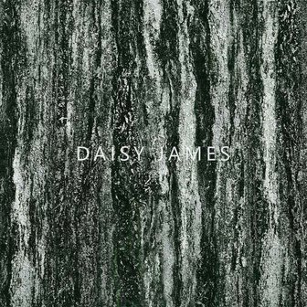Daisy James behang The Basilstone