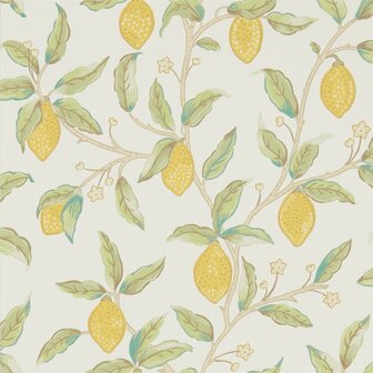 Morris &amp; Co Lemon Tree 216672 Bay Leaf