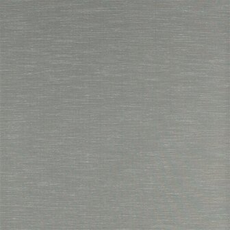 Zoffany Akaishi Rushes Silver Birch 312493