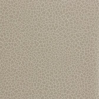 Zoffany Akaishi Cracket Earth Stone 312528