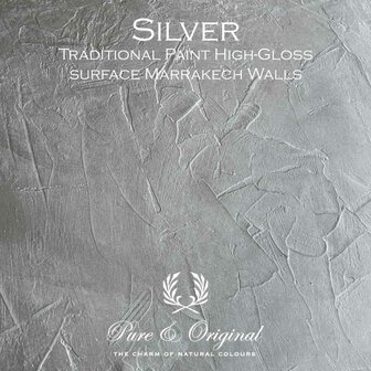 Pure &amp; Original Traditional Paint High-Gloss Elements Silver