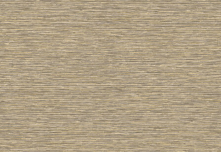 Hooked on Walls Leopard Walk Jomon 15308