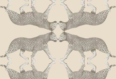 Hooked on Walls Leopard Walk Sabor 15328
