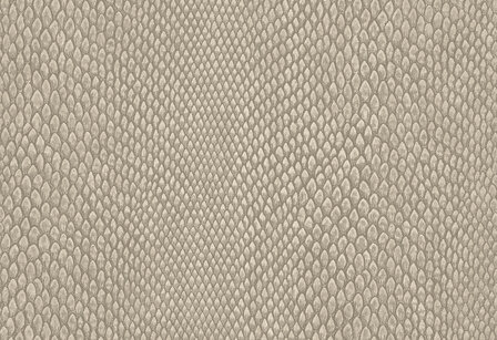 Hooked on Walls Leopard Walk Naja 15332