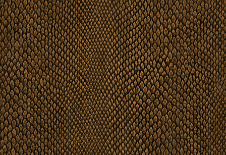 Hooked on Walls Leopard Walk Naja 15334