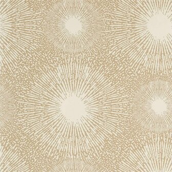 Anthology Perlite Opal Gold Mineral 112071