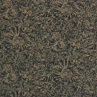 Anthology Ammonite Charcoal Brass 112562