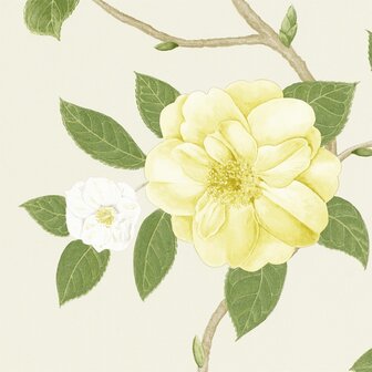 Sanderson Christabel Yellow Ivory 213377