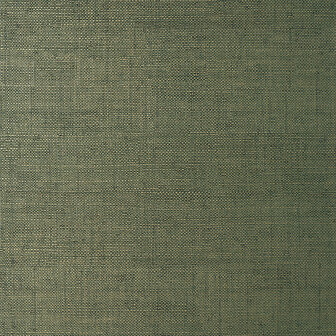 Thibaut Bankun Raffia Forest T14513