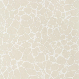 Thibaut Amato Beige T4014