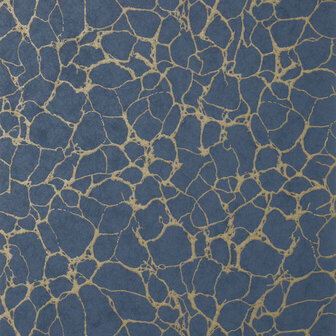 Thibaut Amato Navy T4019