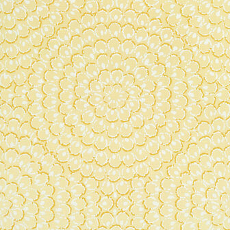 Thibaut Aster Yellow T4032