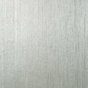  Silver T3992