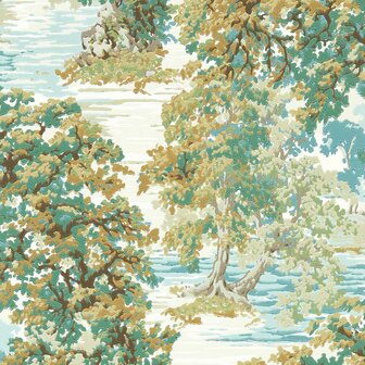 Sanderson Arboretum Wallpapers Ancient Canopy Moss 217221