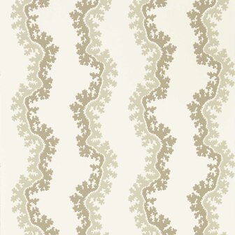 Sanderson Arboretum Wallpapers Oxbow Birch 217249