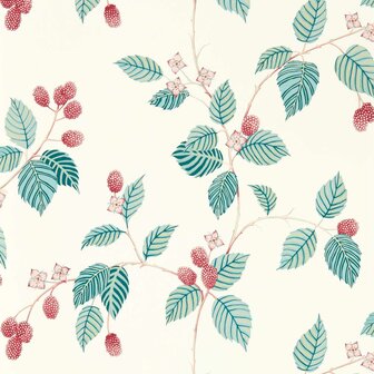 Sanderson Arboretum Wallpapers Rubus Raspberry 217228