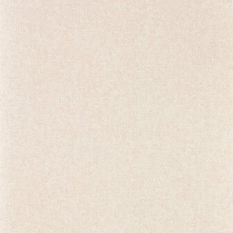 Sanderson Arboretum Wallpapers Sessile Plain Wild Rose 217244