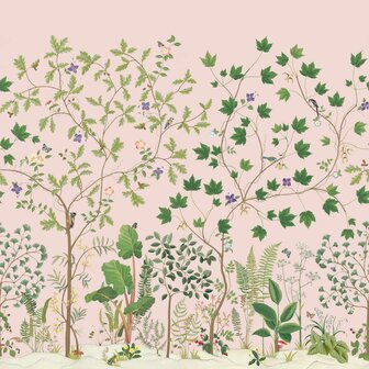 Sanderson Arboretum Wallpapers Sycamore &amp; Oak Wild Rose 217213