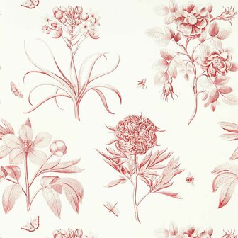 Sanderson One Sixty Etchings Rose Amanpuri Red 217054