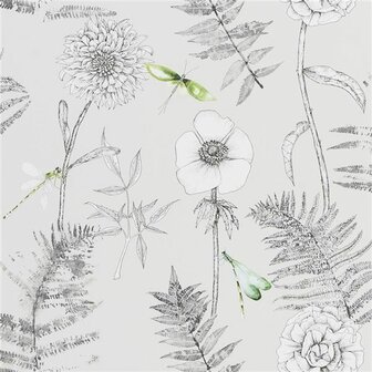 Designers Guild The Edit Flowers VOLUME I Acanthus Graphite PDG1022/02