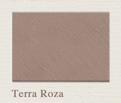 Painting the Past Terra Roza
