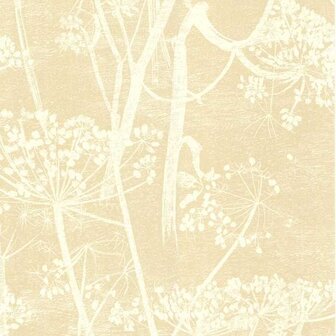 Cole &amp; Son Contemporary Selection Cow Parsley 66/7049