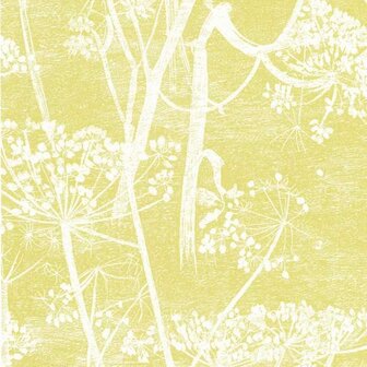 Cole &amp; Son Contemporary Selection Cow Parsley 66/7051