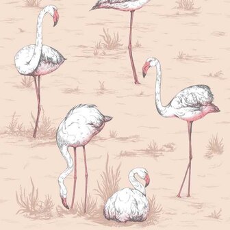 Cole &amp; Son ICONS Flamingos 112/11039