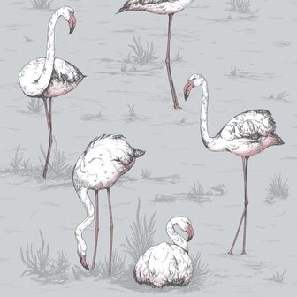 Cole &amp; Son ICONS Flamingos 112/11040