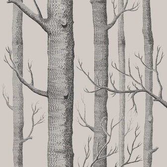 Cole &amp; Son ICONS Woods 112/3009