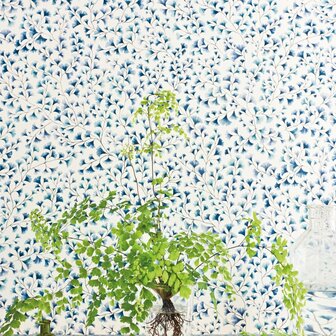 Cole &amp; Son Botanical ~Botanica~ Maidenhair wallpapers via di Alma