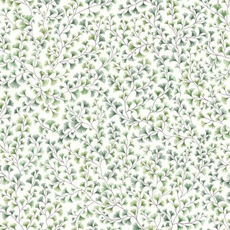 Cole &amp; Son Botanical ~Botanica~ Maidenhair 115/6018