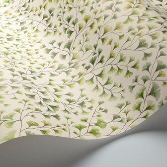 Cole &amp; Son Botanical ~Botanica~ Maidenhair 115/6018