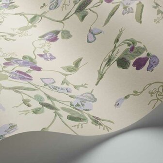 Cole &amp; Son Botanical ~Botanica~ Sweet Pea 100-6030