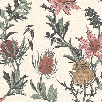 Cole &amp; Son Botanical ~Botanica~ Thistle 115/14043